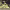 https://res.cloudinary.com/billionhands/image/upload/v1781914008/items/ujfpjocewnngakors4bf.webp-3cover