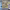 https://res.cloudinary.com/billionhands/image/upload/v1781914959/items/u4gcquor1wmgxvwyuip5.jpg-1cover