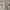 https://res.cloudinary.com/billionhands/image/upload/v1781915467/items/onccszrogp5tug6dlimu.jpg-0cover