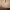 https://res.cloudinary.com/billionhands/image/upload/v1781917596/items/zjqhlqlaeukd0yl0ax9l.jpg-0cover