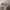 https://res.cloudinary.com/billionhands/image/upload/v1781917830/items/tntgclcckajjaxfryr46.webp-0cover
