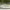 https://res.cloudinary.com/billionhands/image/upload/v1781917834/items/osgvcxm8e20pmu2du8nb.webp-0cover