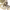 https://res.cloudinary.com/billionhands/image/upload/v1781918287/items/wejet6cfdphc1kqu5ddr.png-3cover