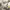 https://res.cloudinary.com/billionhands/image/upload/v1781918679/items/hcdolvc7eeztszirbspm.webp-0cover
