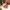 https://res.cloudinary.com/billionhands/image/upload/v1781921024/items/zyq5xyq3dngbnzkvrscq.webp-2cover