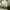 https://res.cloudinary.com/billionhands/image/upload/v1781921900/items/xohhlacorjoprfjk9vbu.webp-0cover
