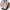 https://res.cloudinary.com/billionhands/image/upload/v1781922065/items/rqnsxp2prcfu0icwre2a.png-0cover