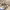 https://res.cloudinary.com/billionhands/image/upload/v1781922408/items/dqyl9lemkaa0dgxru6nz.jpg-3cover