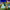 https://res.cloudinary.com/billionhands/image/upload/v1781925224/items/dyuincxvipobuqdrvvjo.jpg-2cover
