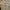 https://res.cloudinary.com/billionhands/image/upload/v1781927951/items/bequhevgafpxbpkdfrj6.jpg-0cover