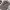 https://res.cloudinary.com/billionhands/image/upload/v1781928788/items/qo82p9uyaizxrok6ttum.jpg-2cover