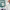 Roche Molecular Laboratory Diagnostic Solutions cover