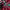 Pico con Eficiencia V (Minecraft) cover