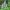 https://res.cloudinary.com/billionhands/image/upload/v1781929432/items/sepid0drwjrdzaqiikao.webp-3cover