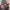 https://res.cloudinary.com/billionhands/image/upload/v1781932533/items/lpxqb1przcmkvgcrsotg.png-3cover