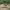 https://res.cloudinary.com/billionhands/image/upload/v1781933185/items/xcrym5a2s5a2idjcunrn.jpg-2cover