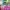 https://res.cloudinary.com/billionhands/image/upload/v1781939386/items/znvvbde18x84sovkq9o4.webp-3cover