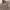 https://res.cloudinary.com/billionhands/image/upload/v1781939720/items/c7padfwn42uwdd8dvj3o.jpg-0cover