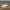 https://res.cloudinary.com/billionhands/image/upload/v1781939725/items/wuap3ttbkvzd8v8vm10h.jpg-1cover