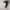 https://res.cloudinary.com/billionhands/image/upload/v1781939782/items/ijpumqtxxrimrsxv2sbq.jpg-1cover