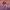 https://res.cloudinary.com/billionhands/image/upload/v1781940851/items/zseqphuntvg6jyt0woln.webp-2cover