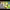 https://res.cloudinary.com/billionhands/image/upload/v1781941316/items/noxoy3icvxyuqv082wog.jpg-1cover