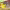 https://res.cloudinary.com/billionhands/image/upload/v1781941316/items/pqkmdfi9yygyylmfrjbf.jpg-2cover