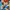https://res.cloudinary.com/billionhands/image/upload/v1781941316/items/vmpy75qcrn2jpregheyz.jpg-1cover