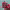 https://res.cloudinary.com/billionhands/image/upload/v1781941404/items/ian6mwlheseeex4ckqfc.jpg-1cover