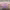 https://res.cloudinary.com/billionhands/image/upload/v1781941442/items/vgigvspu5ssfspxp2xer.jpg-2cover