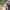 https://res.cloudinary.com/billionhands/image/upload/v1781941487/items/laahfenrmopcvumg673v.png-3cover