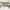 Luxury Penthouse Near US Consulate (Gachibowli, Hyderabad) cover