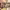 Luxury Apartments in Miyapur (2026) cover