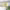 https://res.cloudinary.com/billionhands/image/upload/v1781942003/items/am4n0f44aof9frb4kwwp.webp-0cover