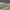 https://res.cloudinary.com/billionhands/image/upload/v1781942480/items/e60hagx8sqwt9j3vismt.jpg-2cover