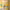 https://res.cloudinary.com/billionhands/image/upload/v1781943579/items/lmcvv6hxstwfbbegmeci.webp-2cover