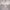 https://res.cloudinary.com/billionhands/image/upload/v1781947618/items/th97lqos6bojx6qz6kvk.jpg-3cover