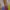 https://res.cloudinary.com/billionhands/image/upload/v1781949880/items/ux2jzyrjnwvkmznco2ug.webp-0cover