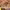 https://res.cloudinary.com/billionhands/image/upload/v1781950694/items/t0fczu1vwbpd2jjtlrpi.jpg-3cover