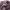 https://res.cloudinary.com/billionhands/image/upload/v1781952874/items/iaeeuecsqndclggigyk7.webp-3cover