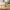 Elegant Rustic Style Planter (Westwing) cover