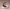 https://res.cloudinary.com/billionhands/image/upload/v1781953243/items/n4qgkia8itilrfmi9cp8.jpg-2cover