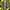 https://res.cloudinary.com/billionhands/image/upload/v1781956395/items/r8hmlcsde4be0k1gebea.jpg-1cover