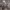 https://res.cloudinary.com/billionhands/image/upload/v1781957742/items/znmejqqyzodje8qlifjg.jpg-1cover