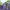 https://res.cloudinary.com/billionhands/image/upload/v1781957766/items/in762giiyrspnc28mxz2.jpg-2cover