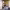 https://res.cloudinary.com/billionhands/image/upload/v1781958031/items/urbuso5pmyasho37c4ax.jpg-1cover