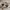 https://res.cloudinary.com/billionhands/image/upload/v1781959256/items/bmbpdev5w1zhixee0myd.webp-3cover