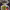 https://res.cloudinary.com/billionhands/image/upload/v1781959373/items/uobd0sgqdeu5y0mqe6s1.jpg-3cover
