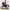 https://res.cloudinary.com/billionhands/image/upload/v1781961676/items/enrvugi9qg1uskp1cpab.jpg-3cover