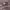 https://res.cloudinary.com/billionhands/image/upload/v1781962550/items/kmswcacfpih21fg5cgqs.webp-1cover